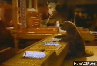 Et la marmotte elle met le chocolat dans le papier