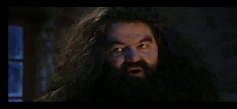 Tu es un sorcier, Harry